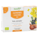 Herbalgem macérat concentré gomme chantres bio 24 gommes Herbalgem macérat concentré gomme chantres bio 24 gommes