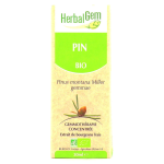 Herbalgem macrat concentr pin des montagnes bio 30ml
