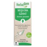 Herbalgem mac�rat concentr� s�quoia bio 30ml
