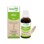 Herbalgem macérat concentré prêle bio 30ml Herbalgem macérat concentré prêle bio 30ml