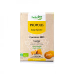 Herbalgem propolis large spectre gorge gommes bio 24 gommes Herbalgem propolis large spectre gorge gommes bio 24 gommes
