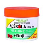Herbesan acrola 1000 + goji format maxi 90 comprims  croquer