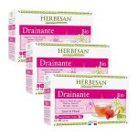 Herbesan bio infusion drainante saveur mangue n�5 lot de 3 x 20 sachets
