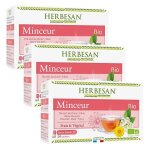 Herbesan bio infusion minceur saveur menthe n�6 lot de 3 x 20 sachets