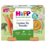 Hipp bio dlices du jardin pot carottes riz brocolis + 6m 2 x 190g