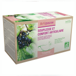 Inebios artipause tisane bio 20 sachets Inebios artipause tisane bio 20 sachets