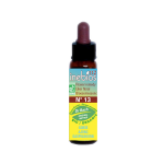 Inebios fleur de bach n°13 gorse - ajonc bio 10ml Inebios fleur de bach n°13 gorse - ajonc bio 10ml