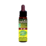 Inebios fleur de bach n°35 white chestnut - marronnier blanc bio 10ml Inebios fleur de bach n°35 white chestnut - marronnier blanc bio 10ml