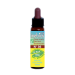 Inebios fleur de bach n°36 wild oat - folle avoine bio 10ml Inebios fleur de bach n°36 wild oat - folle avoine bio 10ml