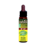 Inebios fleur de bach n°37 wild rose - eglantier bio 10ml Inebios fleur de bach n°37 wild rose - eglantier bio 10ml
