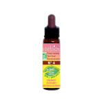 Inebios fleur de bach n°4 centaury - centauree bio 10ml Inebios fleur de bach n°4 centaury - centauree bio 10ml