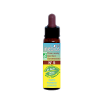 Inebios fleur de bach n°5 cerato - plumbago bio 10ml Inebios fleur de bach n°5 cerato - plumbago bio 10ml