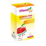 Ineldea vitamin'22 ac�rola 1000 24 comprim�s � croquer
