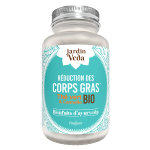 Jardin veda bienfaits d'ayurveda th vert & cannelle bio 60 glules