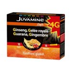 Juvamine 4g formule complète ginseng gelée royale guarana gingembre 10 ampoules Juvamine 4g formule complète ginseng gelée royale guarana gingembre 10 ampoules