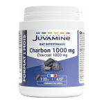 Juvamine charbon 1000 mg format 1 mois 120 gélules Juvamine charbon 1000 mg format 1 mois 120 gélules