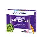 Juvamine concentr d'artichaut 10 ampoules