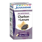 Juvamine gaz intestinaux charbon levure 45 gélules Juvamine gaz intestinaux charbon levure 45 gélules