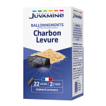 Juvamine gaz intestinaux charbon levure 45 g�lules