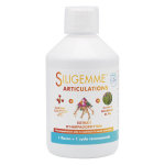 Kotor pharma siligemme articulations 500ml