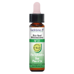 Ladrôme elixirs floraux n°31 pin sylvestre bio 10ml Ladrôme elixirs floraux n°31 pin sylvestre bio 10ml