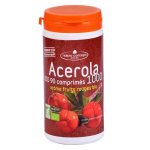 Naturo concept acérola 1000 arôme fruits rouges bio 90 comprimés Naturo concept acérola 1000 arôme fruits rouges bio 90 comprimés