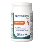 Nutergia ergycartil flex 90 g�lules