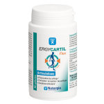 Nutergia ergycartil flex 90 gélules Nutergia ergycartil flex 90 gélules