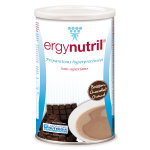 Nutergia ergynutril boisson chocolat chaud 300g