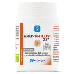 Nutergia ergyphilus gst 60 gélules Nutergia ergyphilus gst 60 gélules