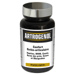 Nutriexpert artrogenol 60 g�lules