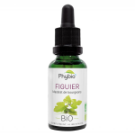 Oemine macérât glycériné figuier bio 30ml Oemine macérât glycériné figuier bio 30ml