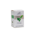 Phytalessence poudre de moringa bio 60 g�lules