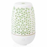 Phytosun arms diffuseurs ultrasonique zen color