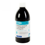 Pileje eps phytoprevent plantain 500ml Pileje eps phytoprevent plantain 500ml