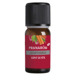 Pranarom les diffusables esprit de fte bio edition limite 10ml