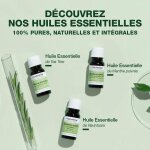 Pranarom huile essentielle menthe poivr�e bio 30ml