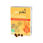 Propolia les douceurs de l'apiculteur gommes de propolis agave gingembre & citron bio 45 units