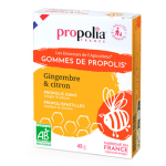 Propolia les douceurs de l'apiculteur gommes de propolis agave gingembre & citron bio 45 unités Propolia les douceurs de l'apiculteur gommes de propolis agave gingembre & citron bio 45 unités