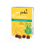 Propolia les douceurs de l'apiculteur gommes de propolis miel & eucalyptus 45 unités Propolia les douceurs de l'apiculteur gommes de propolis miel & eucalyptus 45 unités