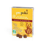 Propolia les douceurs de l'apiculteur gommes de propolis miel & propolis nature 45 unités Propolia les douceurs de l'apiculteur gommes de propolis miel & propolis nature 45 unités