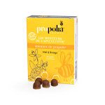 Propolia les douceurs de l'apiculteur gommes de propolis miel & orange 45 unités Propolia les douceurs de l'apiculteur gommes de propolis miel & orange 45 unités