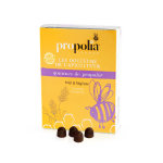 Propolia les douceurs de l'apiculteur gommes de propolis miel & réglisse 45 unités Propolia les douceurs de l'apiculteur gommes de propolis miel & réglisse 45 unités