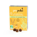 Propolia les douceurs de l'apiculteur gommes de propolis romarin citron & anis bio 45 unités Propolia les douceurs de l'apiculteur gommes de propolis romarin citron & anis bio 45 unités