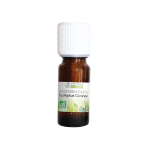 Propos' nature aroma - phytothérapie huile essentielle eucalyptus citronné bio 10ml Propos' nature aroma - phytothérapie huile essentielle eucalyptus citronné bio 10ml
