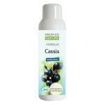 Propos' nature aroma - phytoth�rapie hydrolat cassis bio 100ml