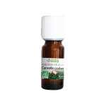 Propos' nature aroma - phytothérapie huile essentielle cannelle de ceylan bio 10ml Propos' nature aroma - phytothérapie huile essentielle cannelle de ceylan bio 10ml