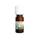 Propos' nature aroma - phytothérapie huile essentielle eucalyptus globulus bio 10ml Propos' nature aroma - phytothérapie huile essentielle eucalyptus globulus bio 10ml