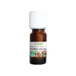 Propos' nature aroma - phytothrapie huile essentielle gaulthrie odorante bio 10ml
