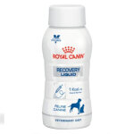 Royal canin veterinary diet chien chat recovery nutrition enterale solution buvable 200ml pack de 3